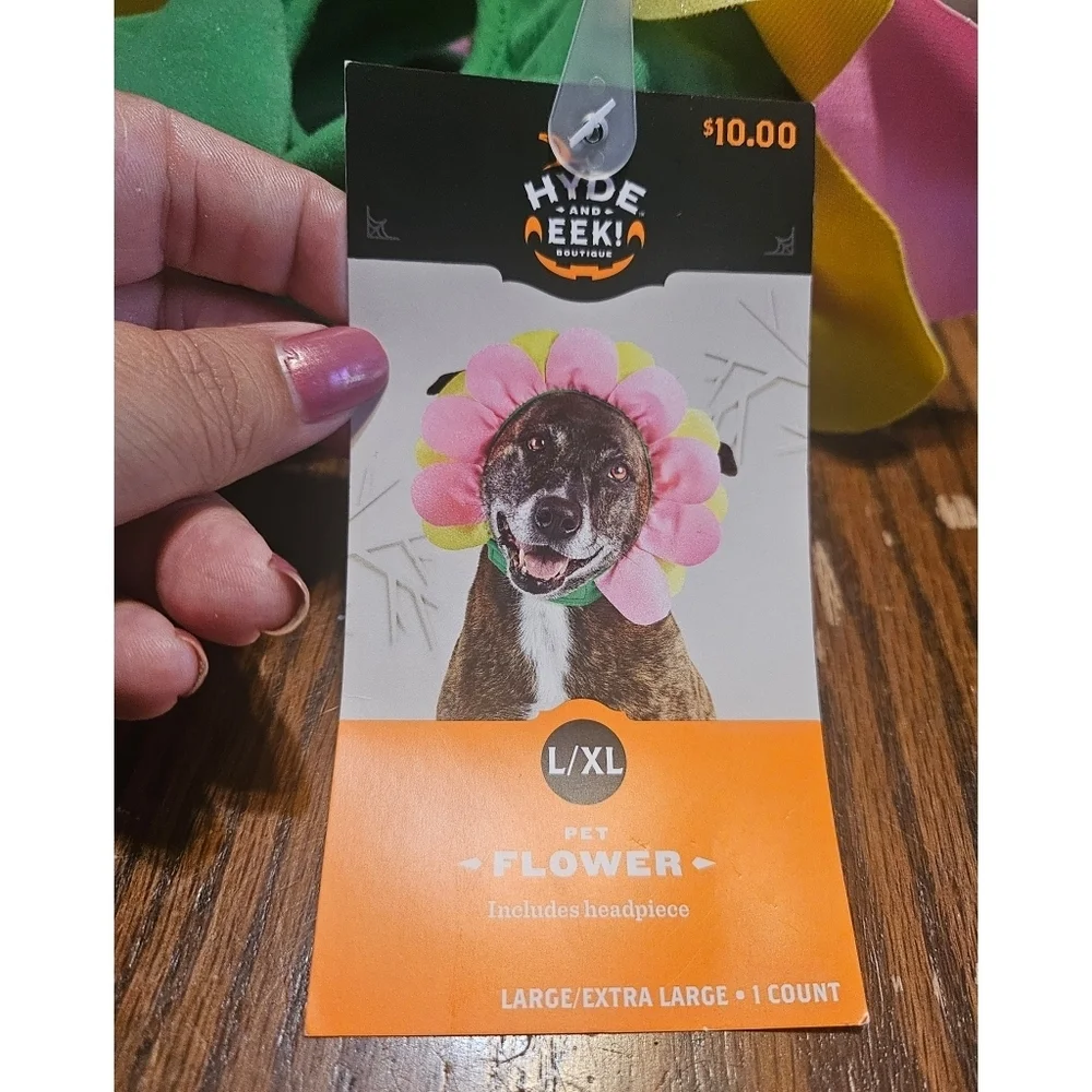 NEW Hyde and EEK Pet Flower Headband